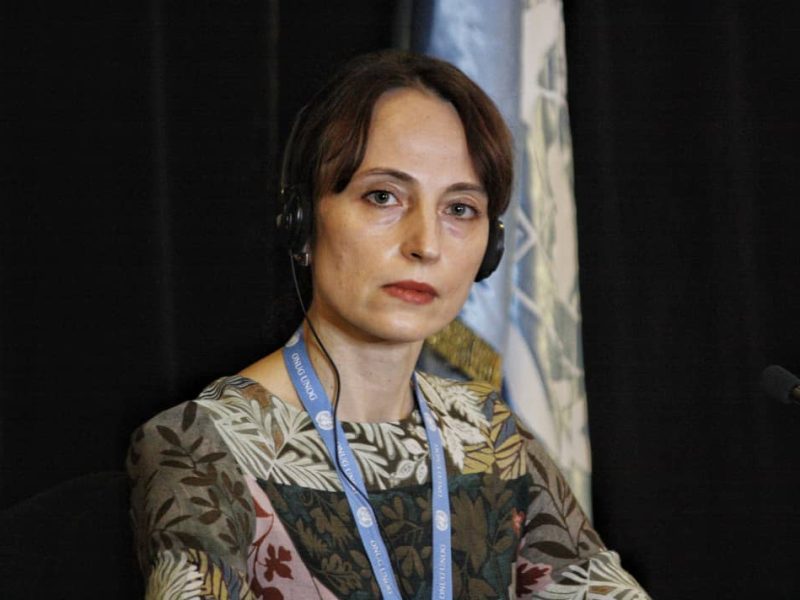 Cinco revelaciones de la relatora especial de la ONU Alena Douhan
