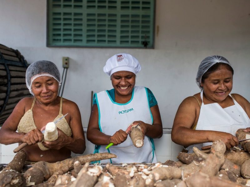 Seguridad Alimentaria