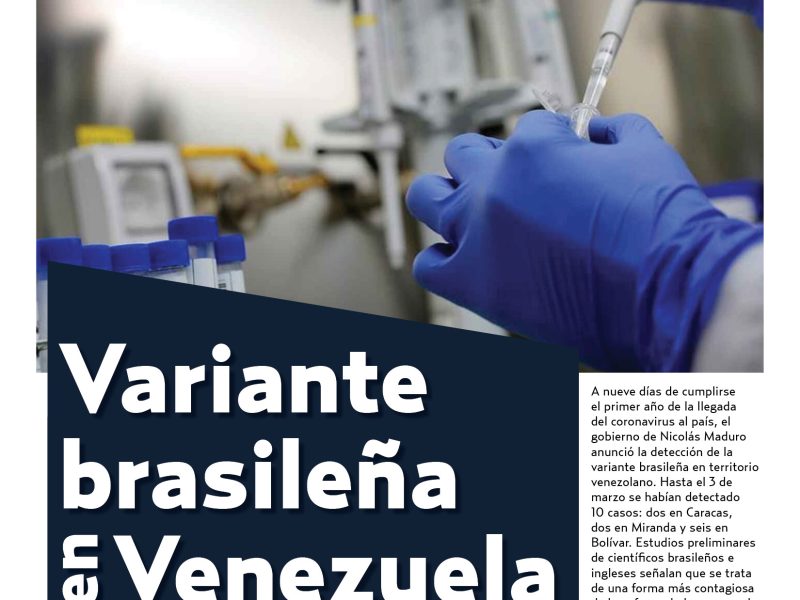 Lo que necesita saber sobre la variante brasileña: Cocuyo 7 número 106