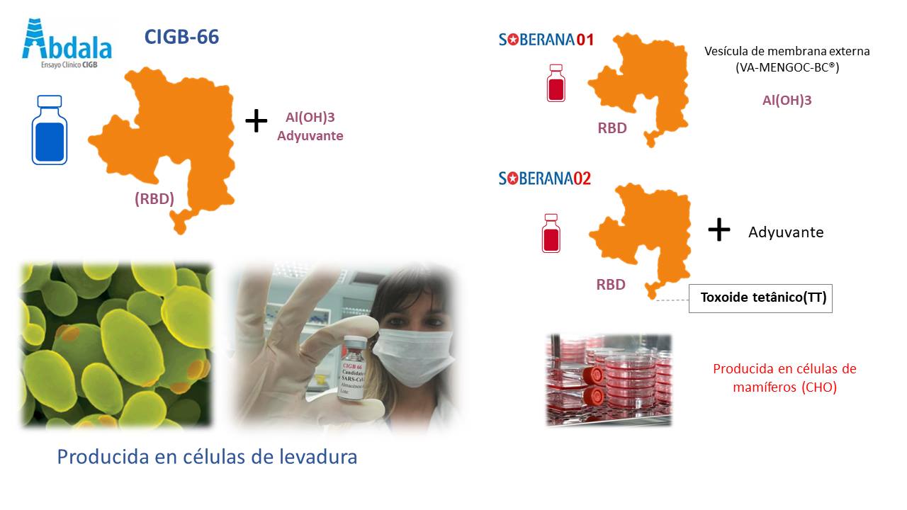 A diferencia de Abdala, Soberana 02 utiliza toxoide tetánico | Foto: Cigb