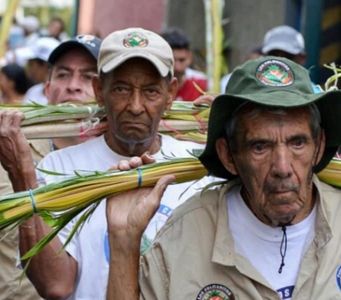Fallece el palmero mayor Ramón Delgado, informa Alcaldía de Chacao