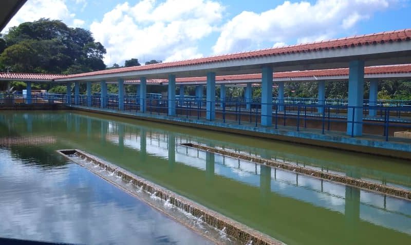 Más de 400 mil maturineses sin agua por paralización de planta potabilizadora