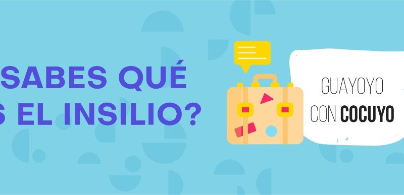 insilio Guayoyo con Cocuyo Escuela Cocuyo 2021