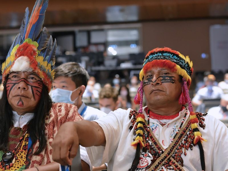 Unión Internacional para la Conservación prueba proteger 80 % de la Amazonía para 2025