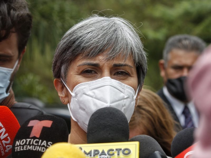 Jefa de misión europea aclara que observadores “no intervenien en el acto electoral”