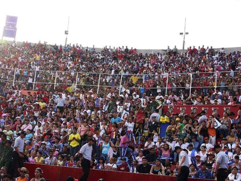 Festival de la orquídea