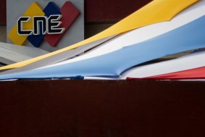 CNE no ha resuelto la vacante de Tania D´Amelio a casi un mes de su salida