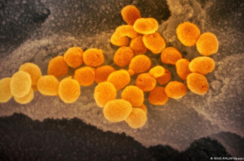 Confirman variante ómicron en cinco países de Europa