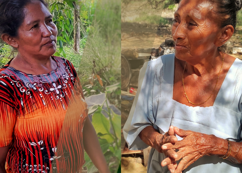 Ounushin y Nawieba: cuando los indígenas jivi y wayuu dejan su territorio