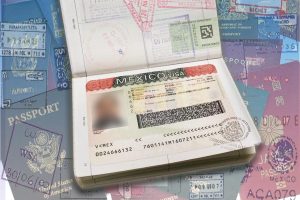 Solvencia económica México Visa
