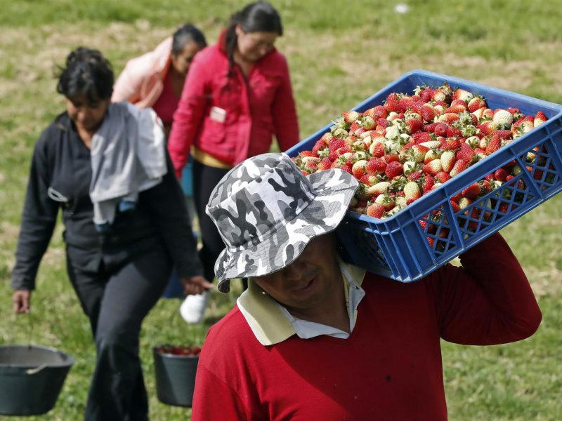 La guerra en Ucrania ensombrece el horizonte económico en América Latina