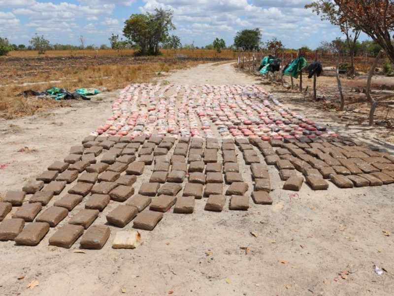cocaína y marihuana