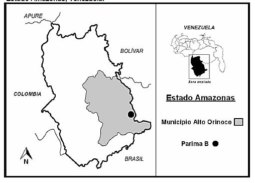 Localización geográfica de la comunidad Yanomami de Parima B.