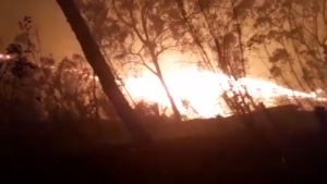 Incendio en El Ávila: restringen paso por la Cota Mil este #4Abr