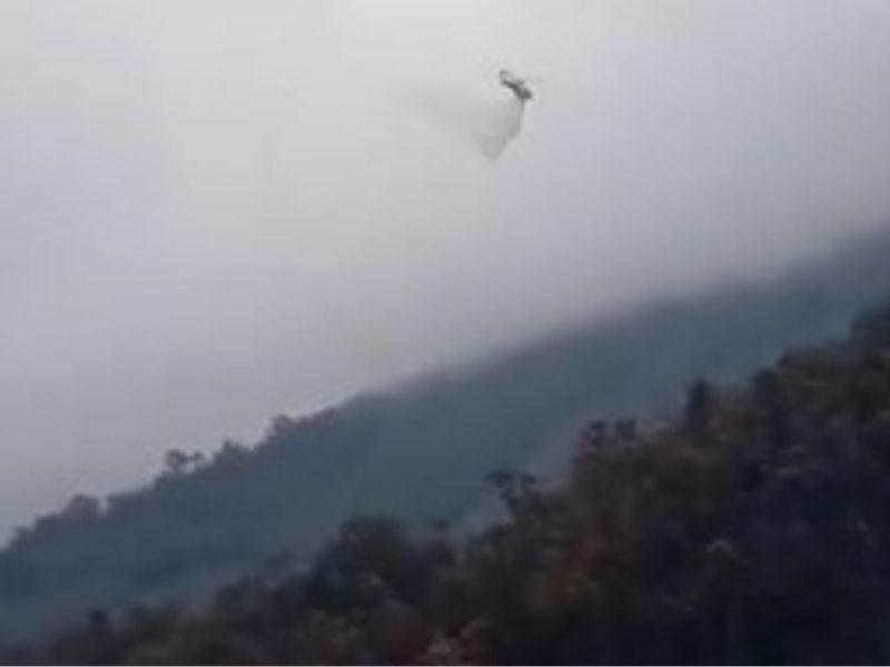 Director de Protección Civil asegura que controlaron 70 % del incendio en El Ávila