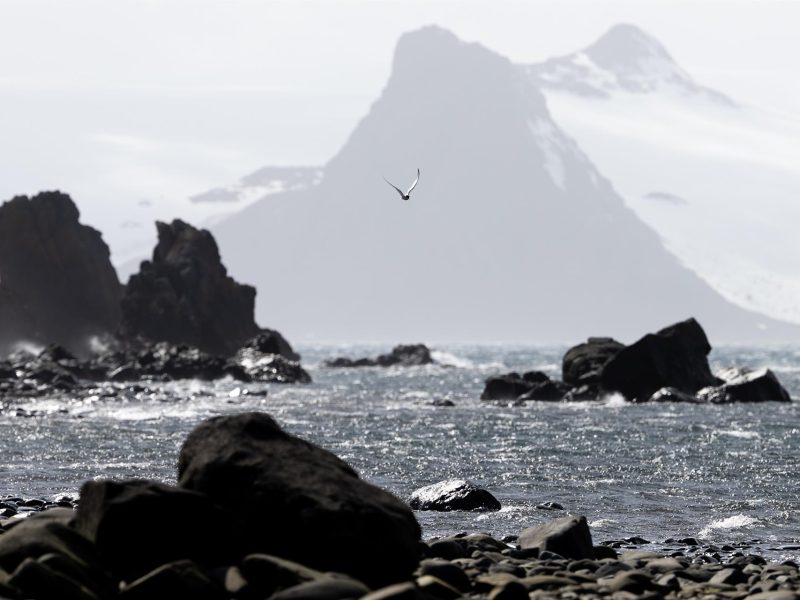 El impacto del cambio climático en los tesoros cósmicos de la Antártida
