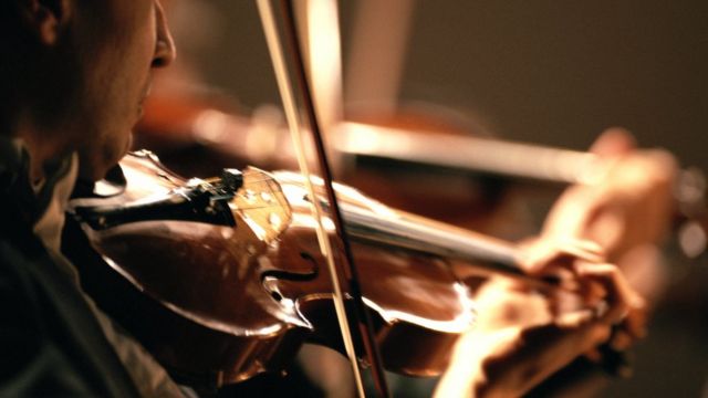 Violinista
