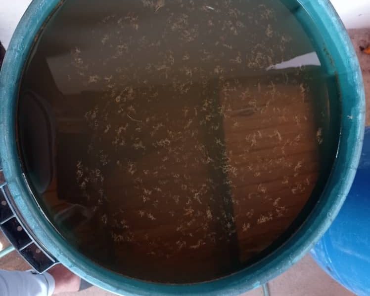 "El agua en Cumaná llega marrón", denuncia observatorio social