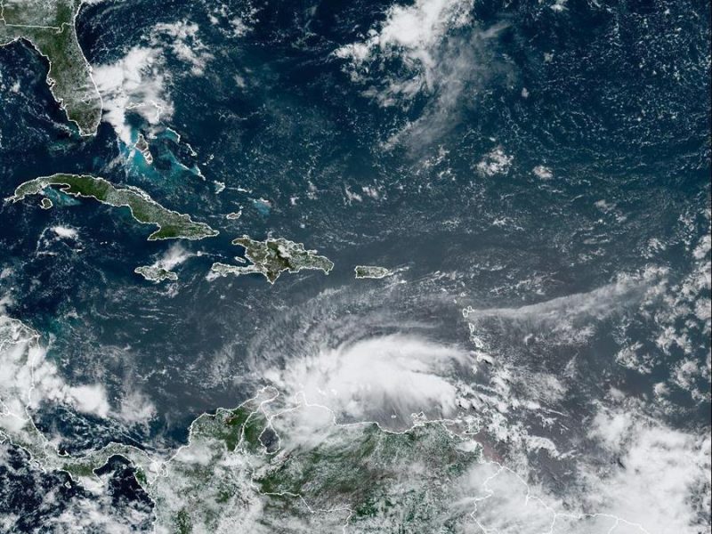 Caída de árboles, lluvias fuertes y calles inundadas en zonas del estado Miranda