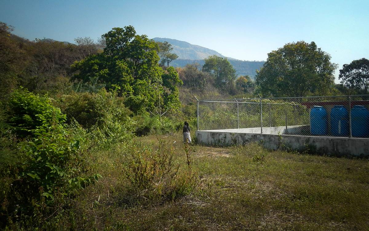 Yukpas como la madre de Sumis Romero caminan por la Sierra en busca de hierbas para curar enfermedades