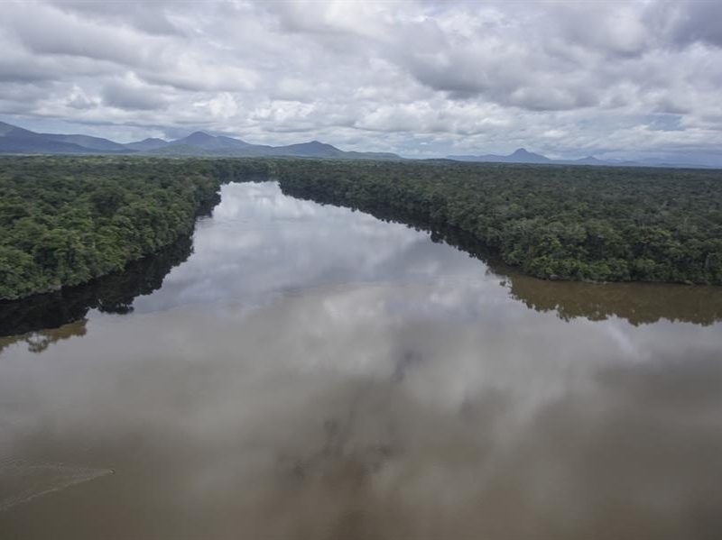 Fundaredes denuncia destrucción de más de 1.200 hectáreas de selva virgen