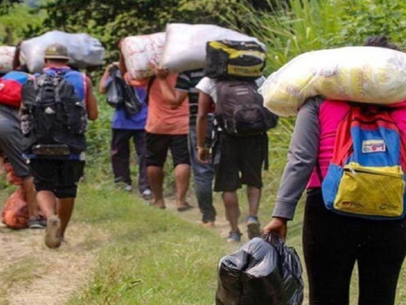 Nueve venezolanos cruzan la selva del Darién cada hora