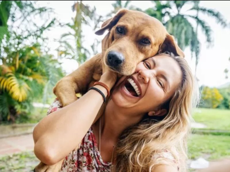 “Mira, Aquí está la pelota": Cómo nuestros perros entienden las palabras