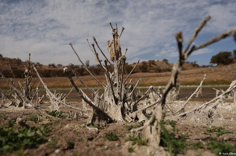América Latina sedienta: los estragos de la sequía
