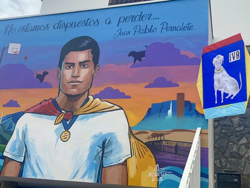 Familiares y ONG claman por justicia para Juan Pablo Pernalete