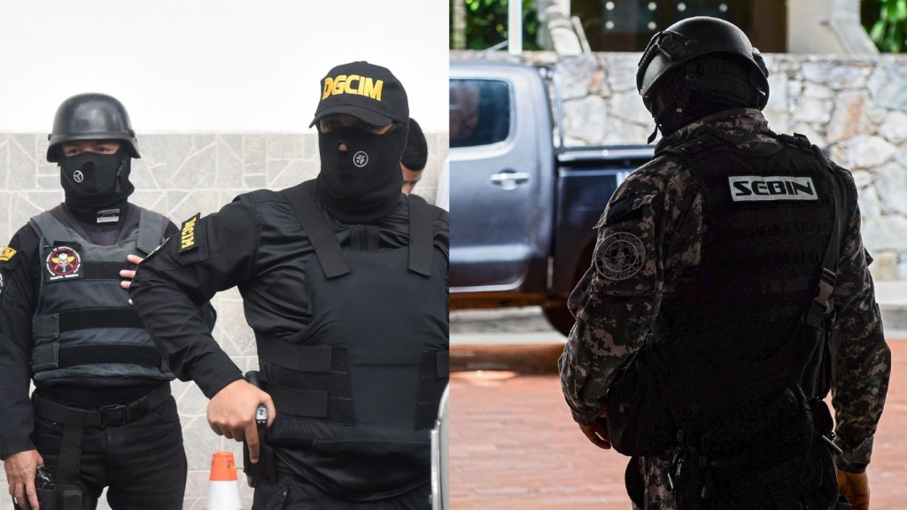Sebin aplicó violencia sexual o de género en siete casos documentados por la misión de la ONU