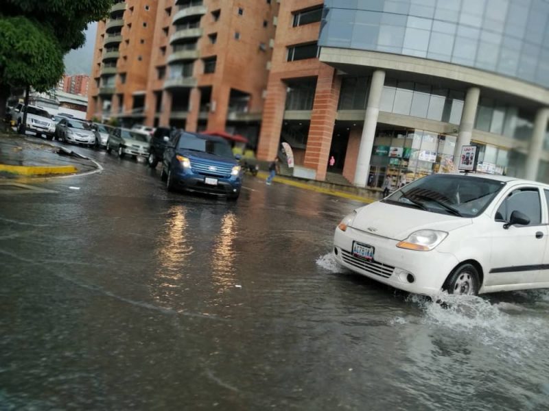 V&iacute;as anegadas y &aacute;rboles ca&iacute;dos tras aguacero en Caracas este #27Sep &ndash;  Efecto Cocuyo