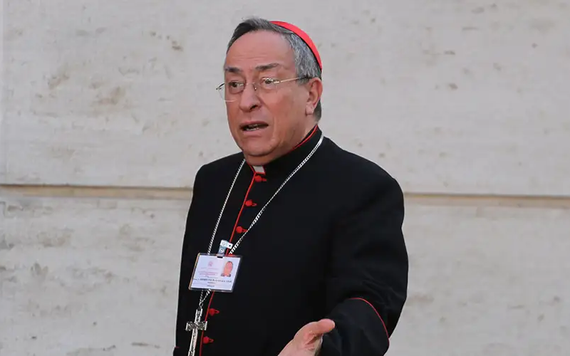 Cardenal de Honduras cuestiona trato a los migrantes en tránsito por su país