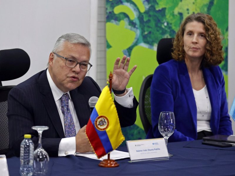 Cultivos de coca se disparan en Colombia con crecimiento del 43 % en 2021