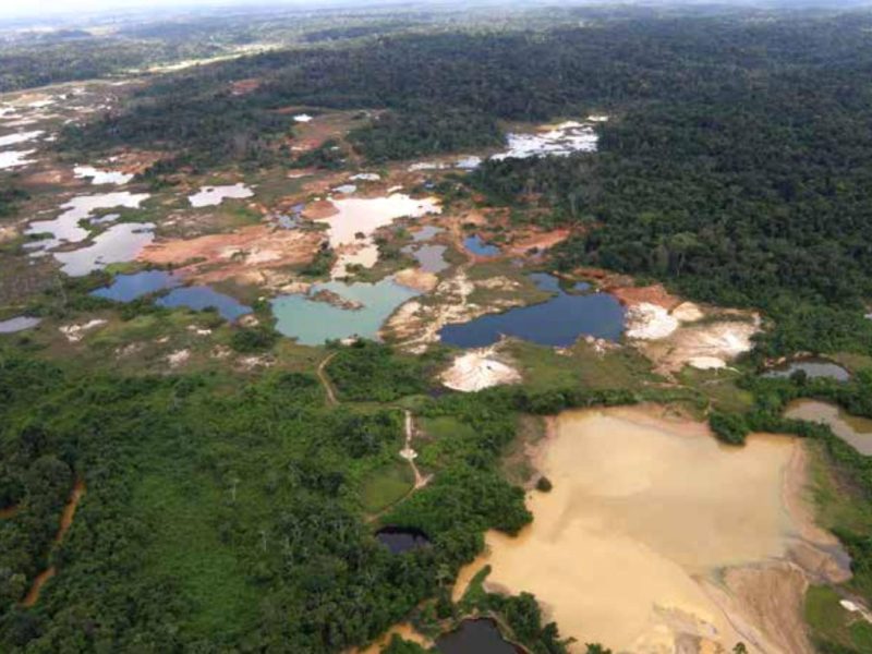 Deforestación en Venezuela