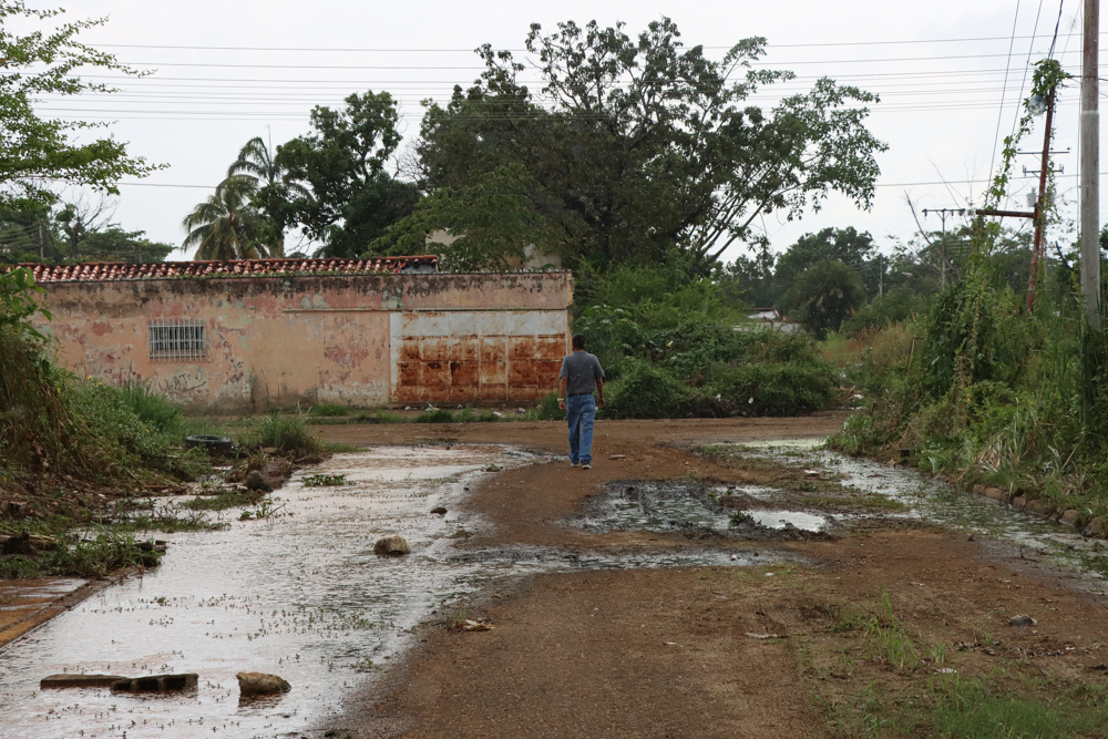 Mata redonda- Aragua (Mairet Chourio)