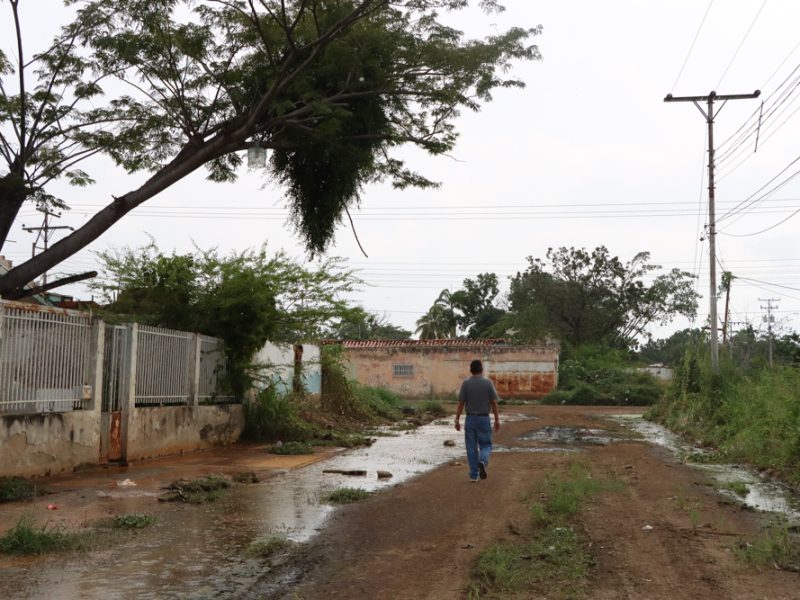 Mata redonda- Aragua (Mairet Chourio)