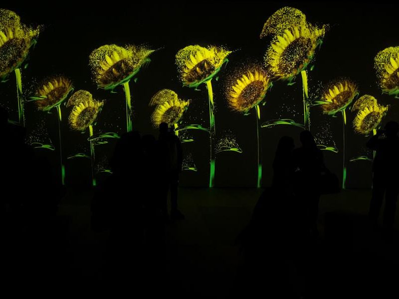 Los venezolanos entran a un "sueño inmersivo" junto a Van Gogh