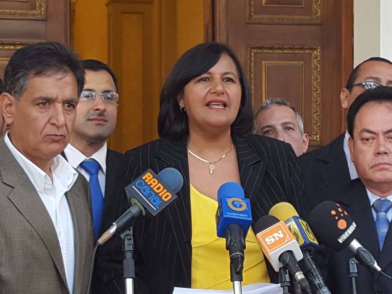 Asamblea Nacional 2015 Dinorah Figuera