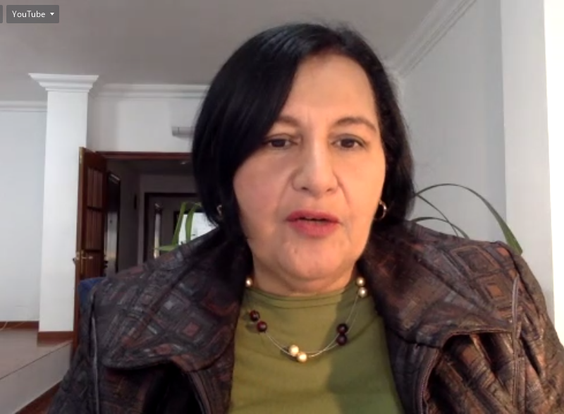AN de 2015 solo tendrá representación diplomática en cinco países dice Dinorah Figuera