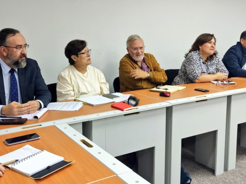 10 opositores aspiran medirse en las primarias: conozca a los precandidatos