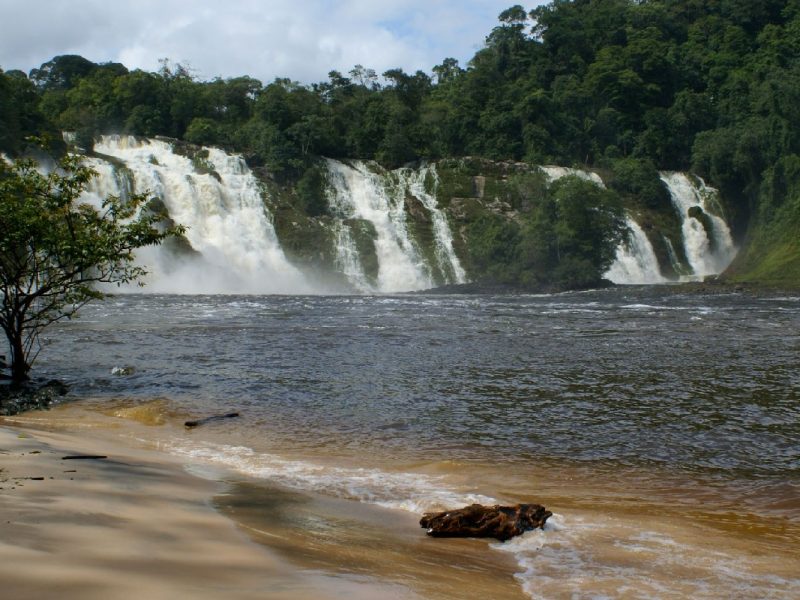 Biodiversidad de Venezuela