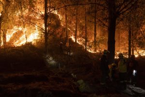 Se decretará un polémico toque de queda en el epicentro de los incendios en Chile