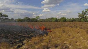 Probabilidad de incendios foretales en el país se incrementa un 42 %, señala el Inameh