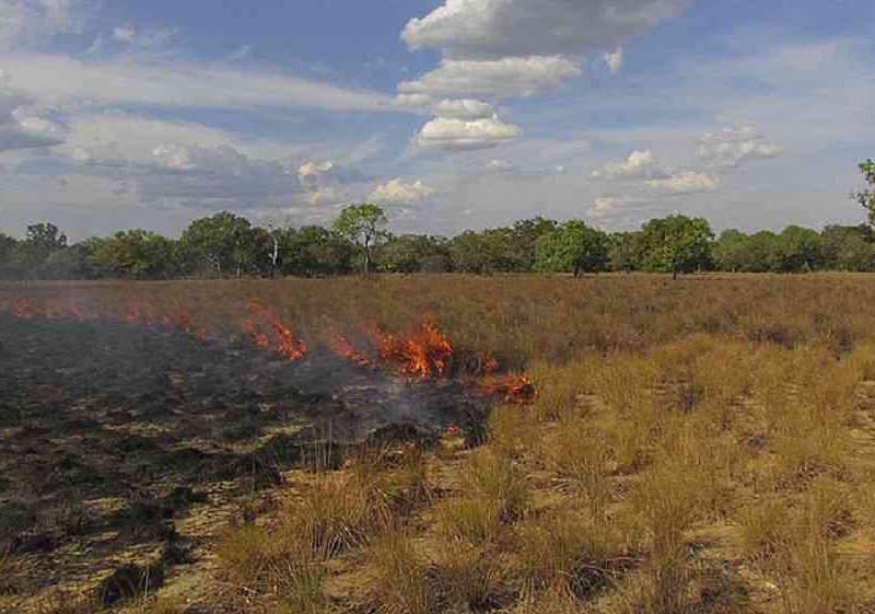 Probabilidad de incendios foretales en el país se incrementa un 42 %, señala el Inameh
