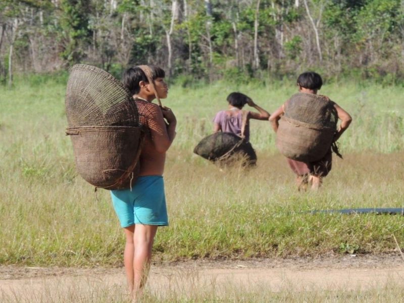 Provea alerta de un deterioro de la vida de los pueblos indígenas en Venezuela