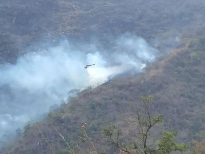 Reanudan Operación Llovizna para controlar incendios en el parque Henri Pittier