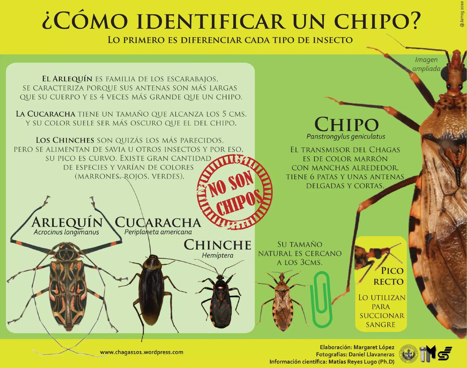 El Chagas