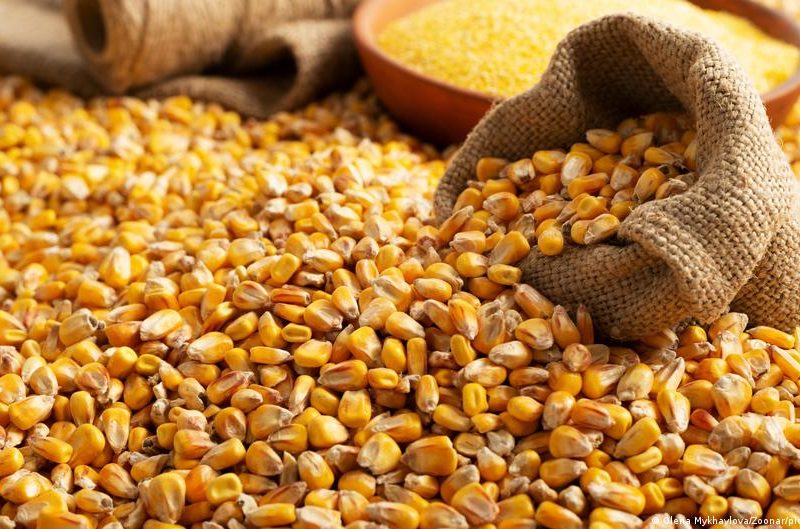 Precios mundiales de los alimentos suben por primera vez en un año
