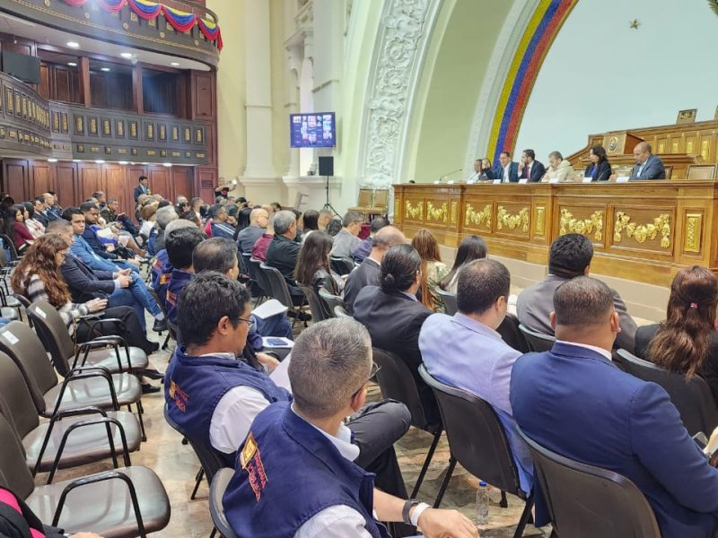 Claves de la ley de Protección de Activos que está por aprobar AN de 2020