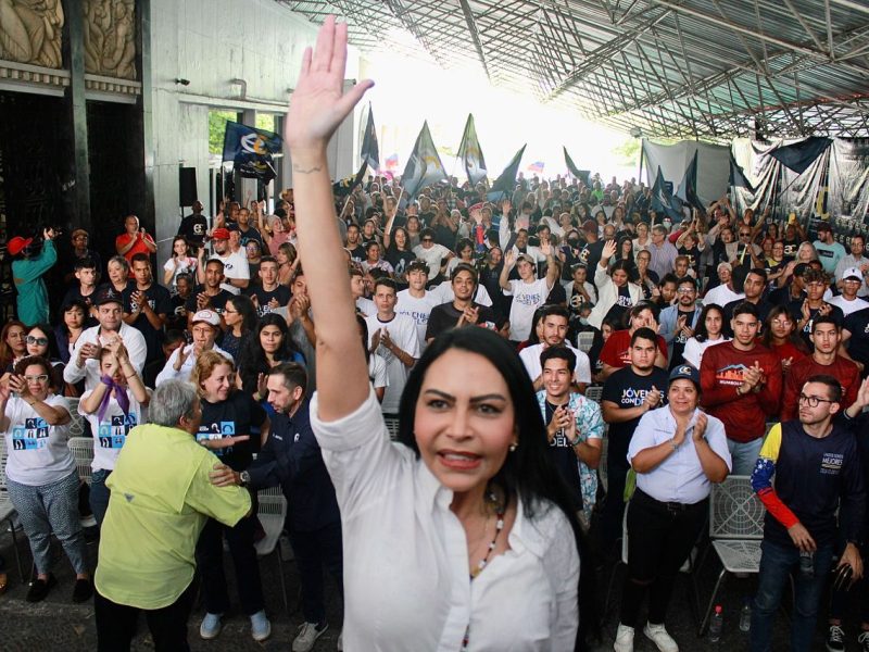 Delsa Solórzano: Es vital que se garantice la confidencialidad de los datos de los electores en la primaria